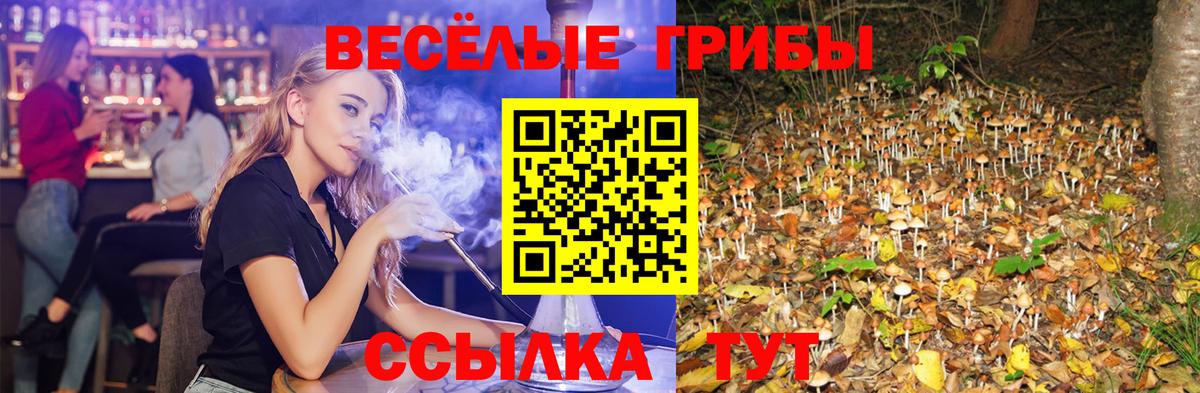 Псилоцибиновые грибы GOLDEN TEACHER Сыктывкар